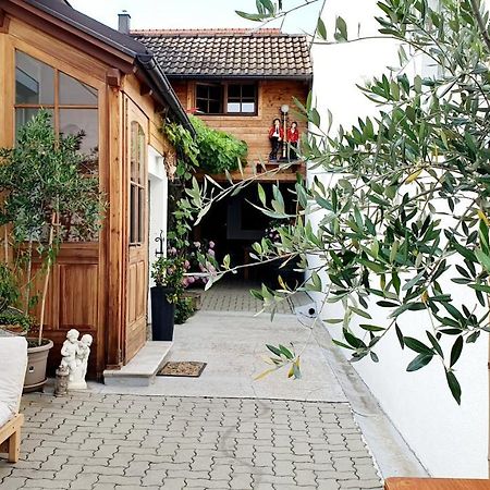 Casa Zara Daire Mörbisch am See Dış mekan fotoğraf